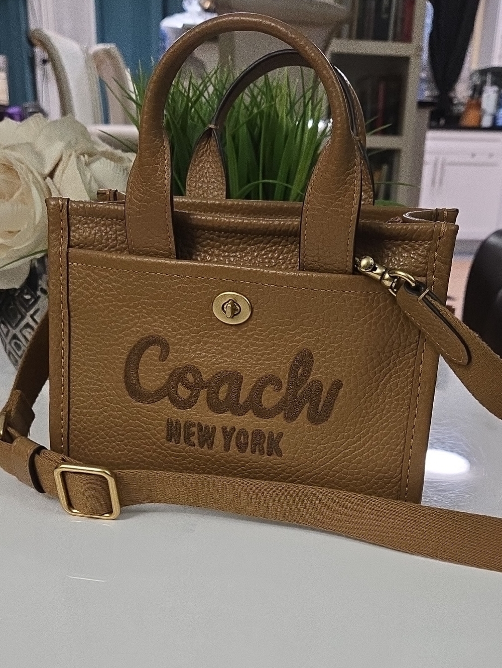 Coach Mini Cargo Tote 20